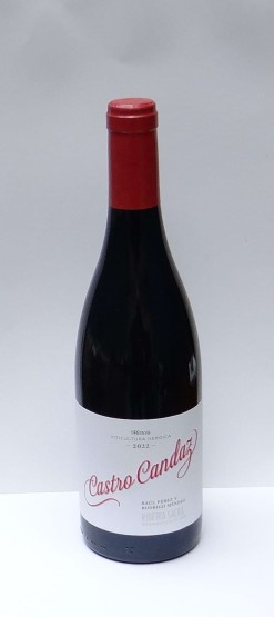 CASTRO CANDAZ MENCIA