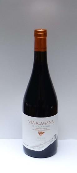 VIA ROMANA DO CAMIÑO...