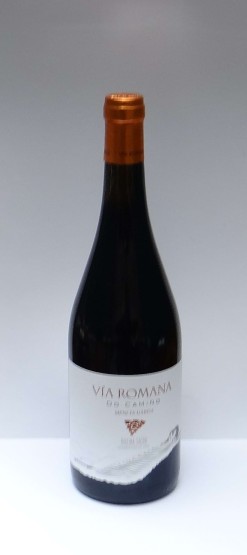 VIA ROMANA DO CAMIÑO GARDA