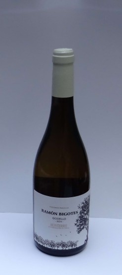 RAMON BIGOTES GODELLO